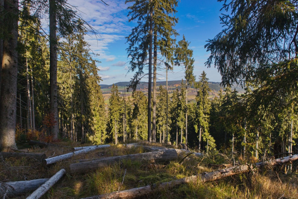 Obrazem: Barevný podzim na Šumavě