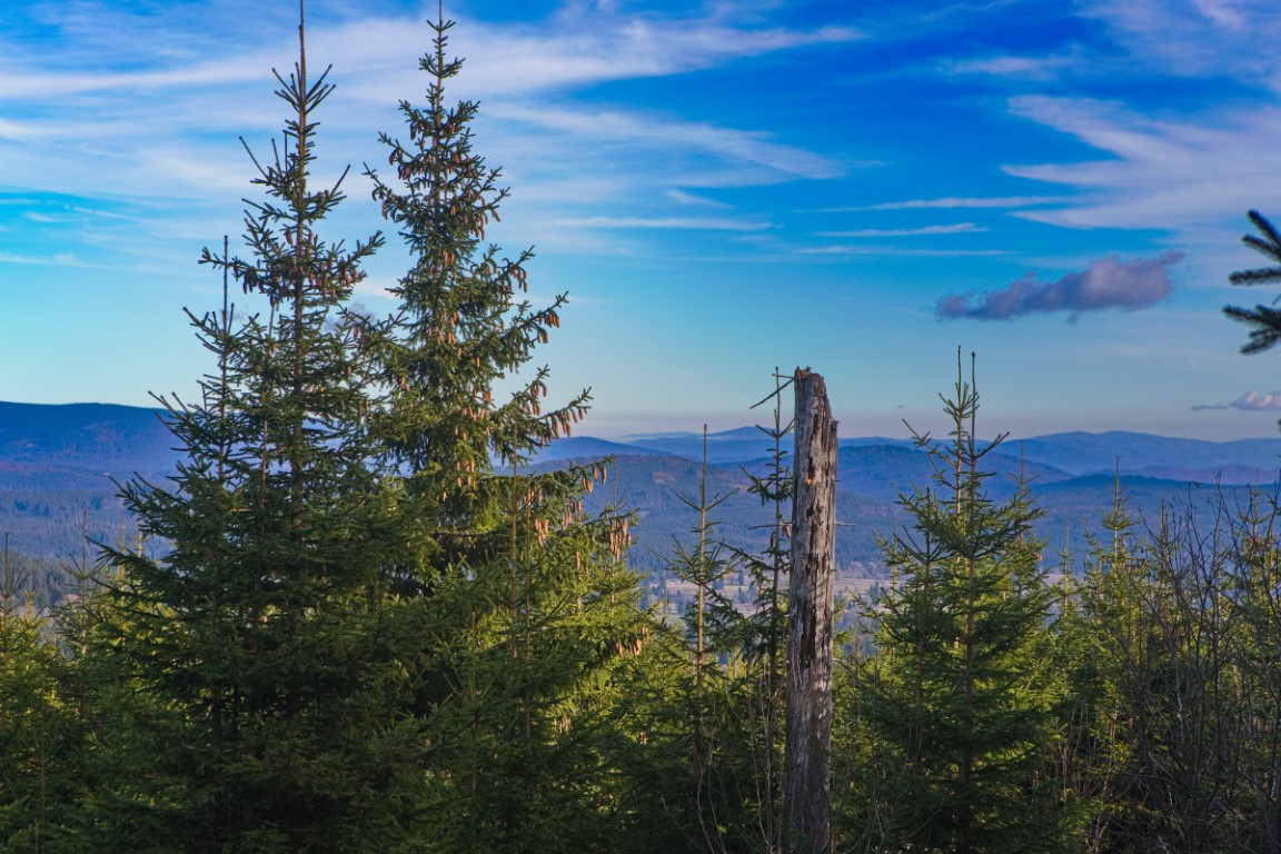 Obrazem: Barevný podzim na Šumavě