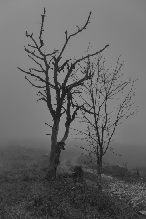 Obrazem: Barevný podzim na Šumavě