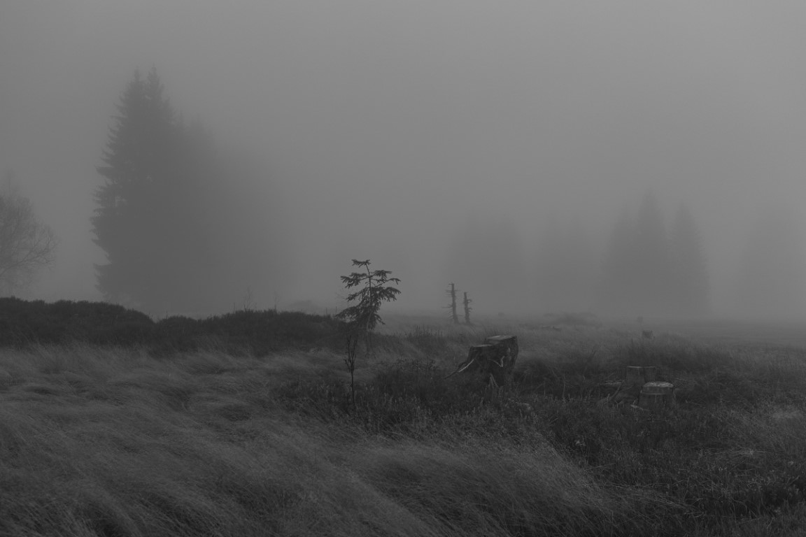 Obrazem: Barevný podzim na Šumavě