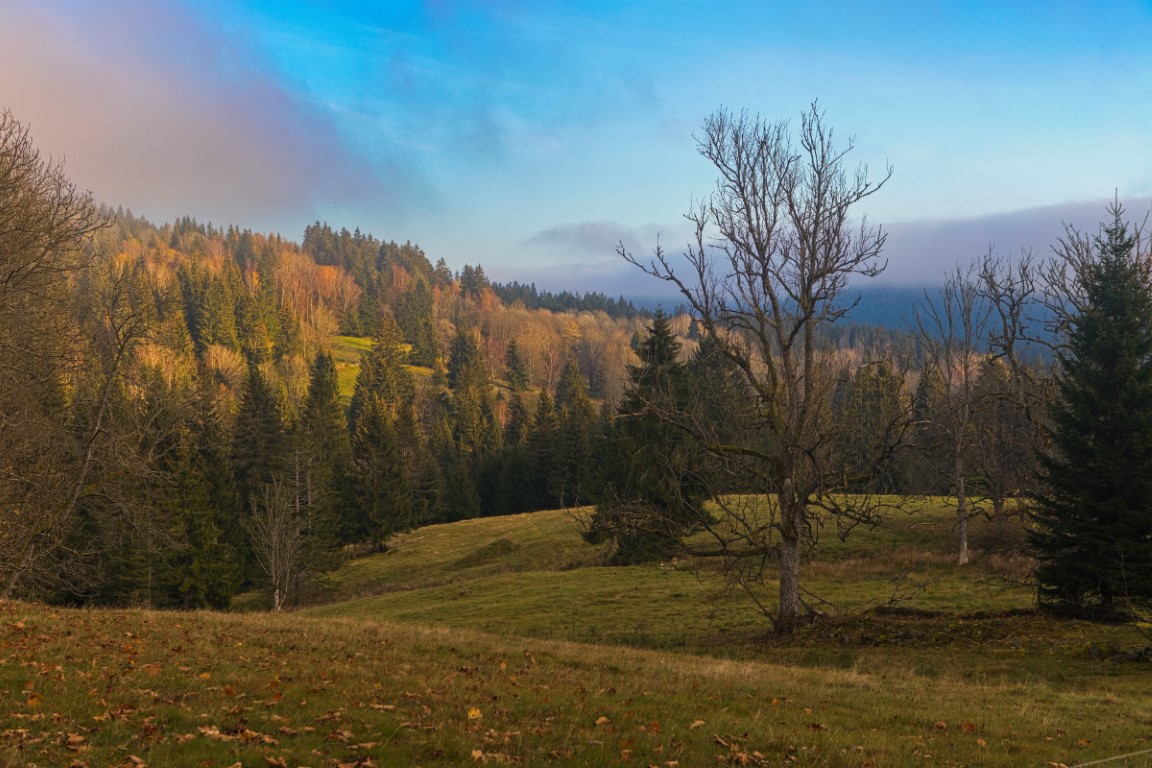 Obrazem: Barevný podzim na Šumavě