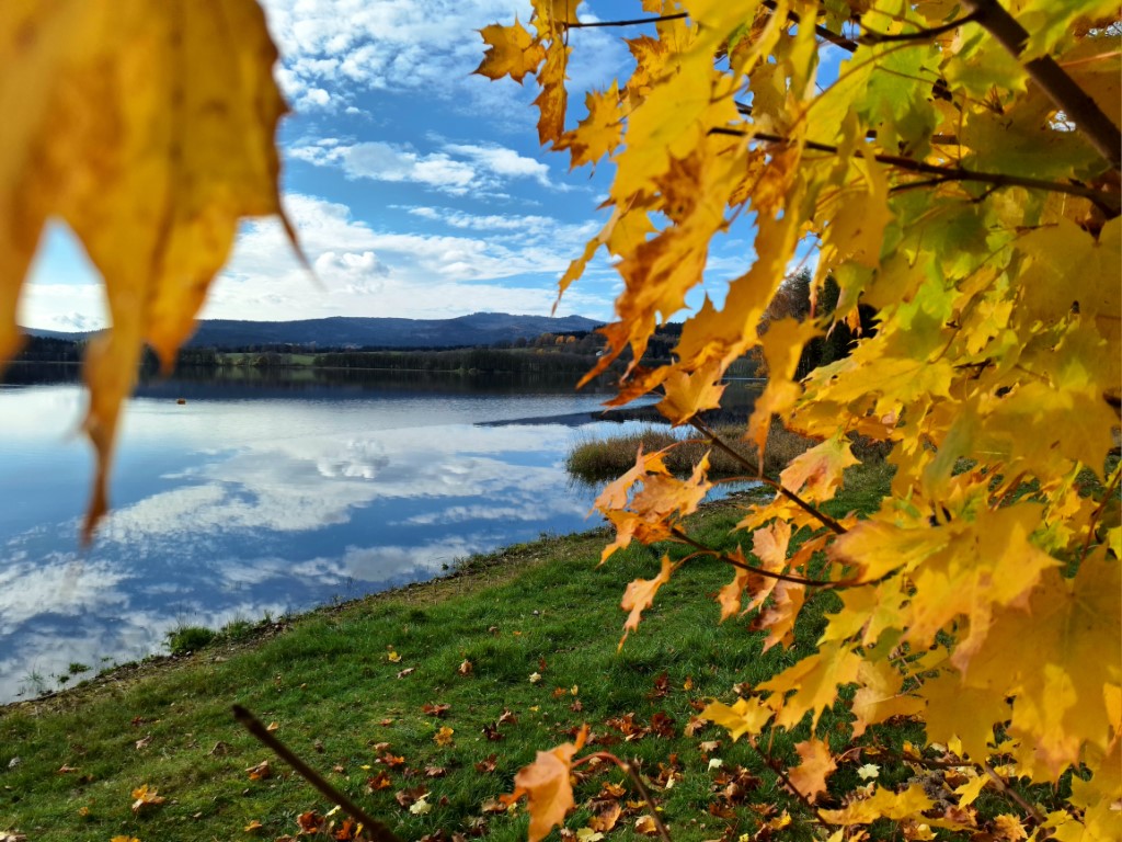 Barevný podzim na Šumavě