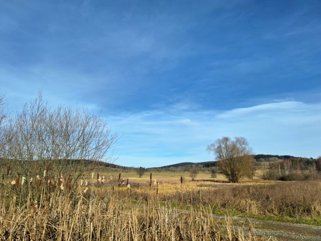 Kašperské Hory naměřily 21 °C, na listopad extrémní teplota