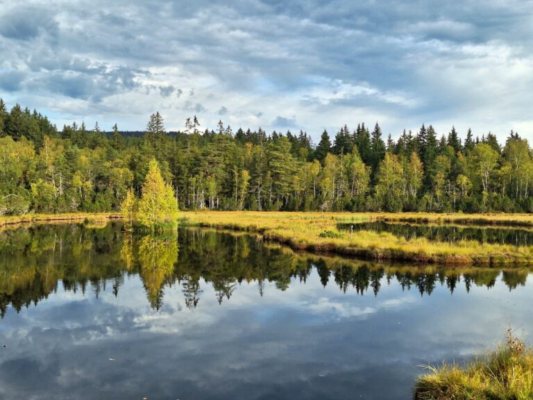 Září bylo teplotně nadnormální, Šumava opět kralovala…